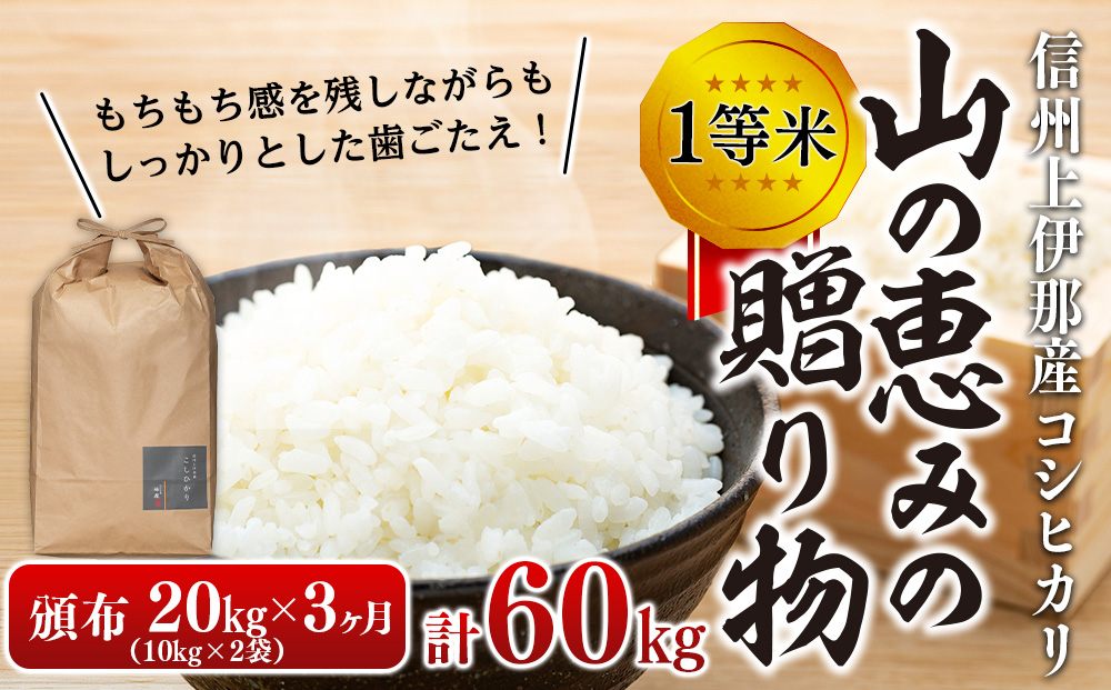 【令和7年産】３ヶ月連続お届け 定期便 信州産 コシヒカリ 1等米 「山の恵みの贈り物」 20kg（10kg×2袋）　計60kg （ お米 コシヒカリ 白米 搗きたて米 低温貯蔵米 食品 ) 長野県　箕輪町