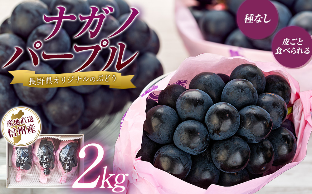 ぶどう ナガノパープル 2kg 葡萄 ブドウ 長野パープル 果物 くだもの フルーツ 旬の果物 旬のフルーツ 信州 長野 長野県