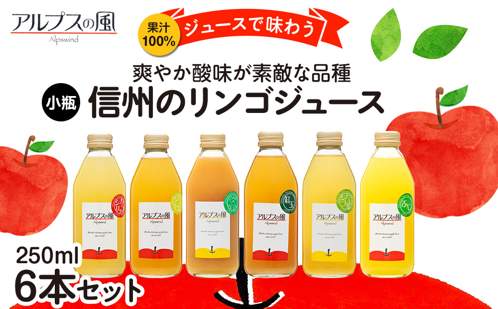 果汁100％ジュースで味わう 爽やか酸味が素敵な品種 リンゴジュース 小瓶 6本 セット 詰め合わせ ジュースで味わう信州のリンゴ 酸味爽やか りんご 林檎 アップル アップルジュース 無添加 飲料 飲料類 甘い 濃厚 長野 長野県