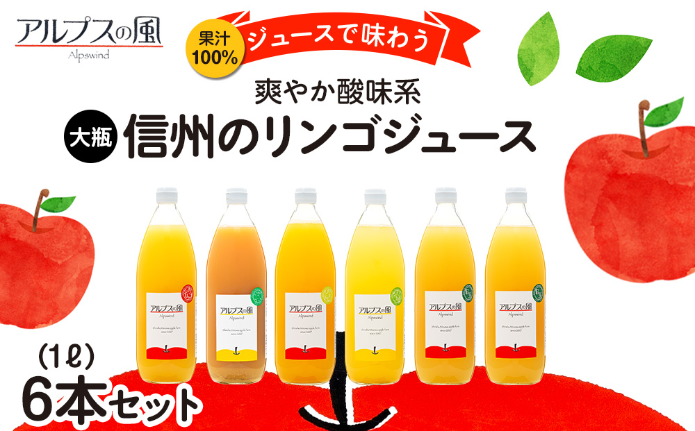 果汁100％ジュースで味わう 信州のリンゴ 爽やか酸味系 大瓶 6本 セット 詰め合わせ りんご 林檎 アップル アップルジュース ミックスジュース 無添加 飲料 飲料類 甘い 濃厚 長野 長野県