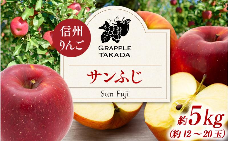 信州りんご サンフジ 約5kg