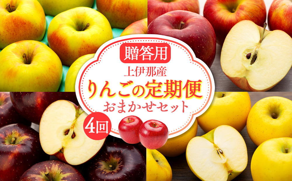 【定期便】贈答用上伊那産りんごの定期便4回おまかせセット
