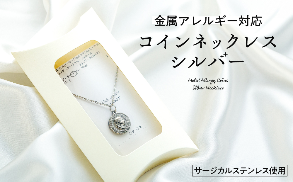 金属アレルギー対応コインネックレス　シルバー