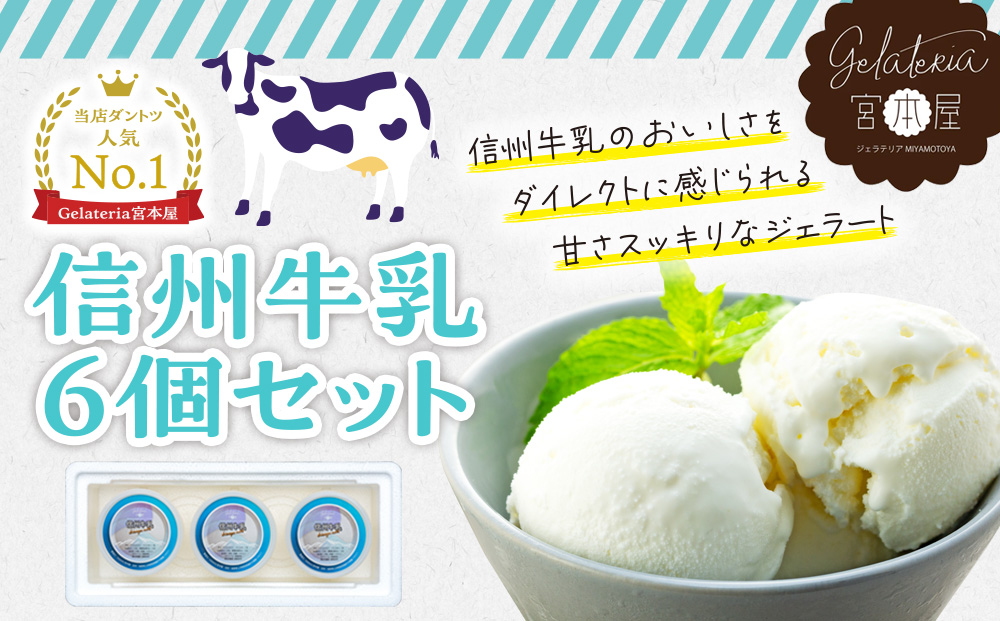 ジェラート 信州牛乳 6個 セット 詰め合わせ 当店人気No.１ジェラート ミルク アイス アイスクリーム シャーベット 美味しい デザート 人気 砂糖控えめ 甘さスッキリ ヘルシー