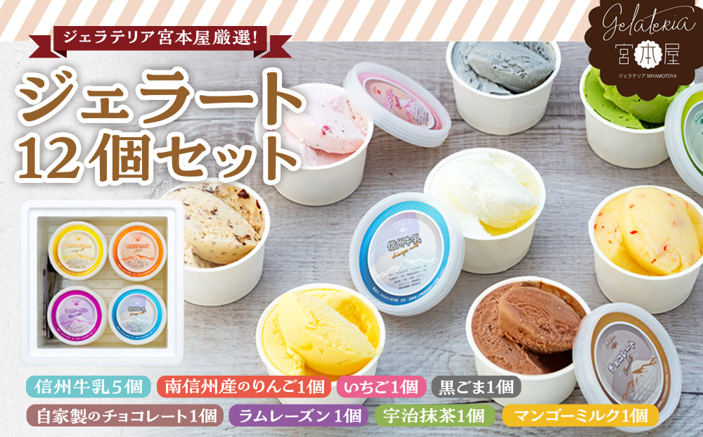 ジェラート 12個 セット 詰め合わせ ジェラテリア宮本屋厳選 アイス シャーベット ジェラテリア宮本屋 砂糖控えめ ヘルシー 信州牛乳 りんご いちご 黒ごま チョコレート ラムレーズン 抹茶 宇治 マンゴーミルク アルフォンソマンゴー