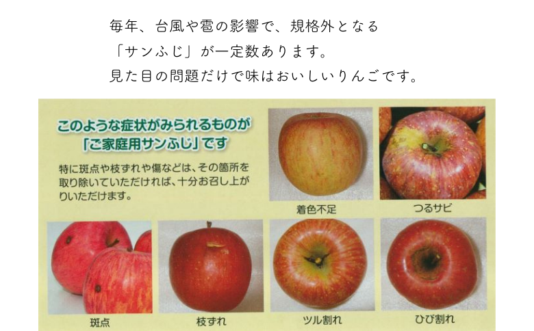 AS13-25A りんご サンふじ 越年自家用（松川町産）約10kg ／2026年1月中旬～2月中旬頃配送予定