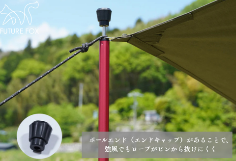 FUTURE FOX 伸縮ポール 新型 十二角形型 2本セット 160~220cm ブラック［FF27-01］ // キャンプ アウトドア タープ用 テント用 ポール 調節可能 収納袋付き フューチャーフォックス ブラック 160~220cm