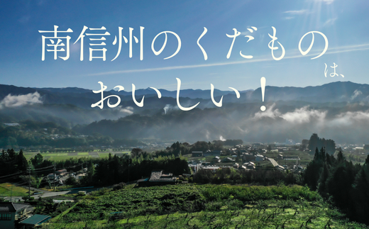 JA02-26A【先行予約】桃 あかつき 約3kg／2026年7月下旬～8月上旬頃 配送予定 // 贈答 センサ ー選別 糖度センサー 桃 もも 果物 フルーツ ギフト あかつき 太鼓判 優糖生
