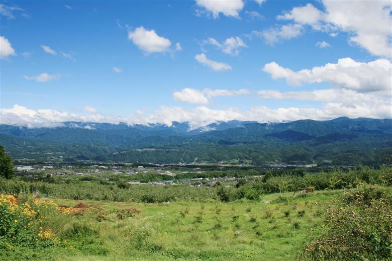 MW16-25E 信州産 桃と洋梨のジュースセット（桃／洋梨 500ml×2本） // 長野県 南信州 もも ピーチ 洋なし 果汁100％ ストレートジュース 保存料不使用