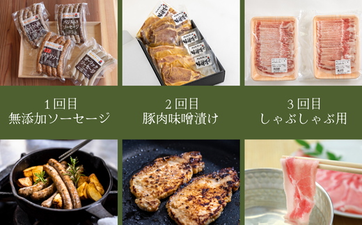 SF06-25C さんさん豚3回お届けコース（翌月より3ヶ月）｜長野県産豚肉 南信州 ポーク ステーキ バークシャー種 薄切り 味噌漬け 安全 安心 定期便 毎月届く 贈答 ギフト