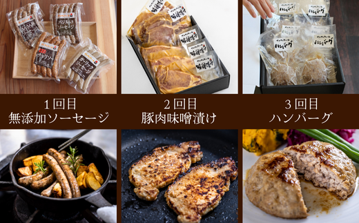 SF07-25C さんさん豚6回お届けコース（翌月より6ヶ月）｜長野県産豚肉 南信州 ポーク ステーキ バークシャー種 薄切り 味噌漬け 安全 安心 定期便 毎月届く 贈答 ギフト