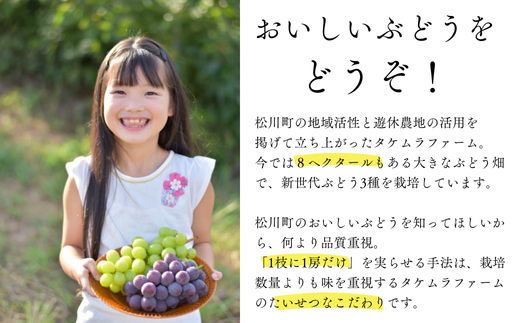 TK06-26A 【先行予約】ぶどう シャインマスカット 約2kg ／2026年9月中旬～10月初旬頃 配送予定 // 贈答 長野県 南信州 シャインマスカット マスカット 種なし 皮ごと ぶどう 葡萄 果物 フルーツ