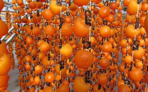 TK21-25A 冷凍カット市田柿 Lサイズ 400g （200g×2） // 長野県 南信州 干し柿 高級ドライフルーツ 高糖度 冷凍フルーツ