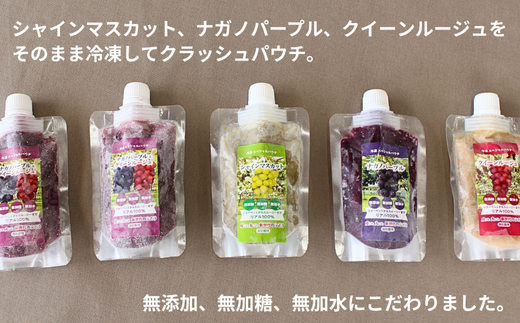 TK25-25A  ぶどう 冷凍スペシャルパウチ リアル100％ Lサイズ（95g） 5個 // 長野県 南信州 冷凍フルーツ 冷凍パウチ パウチ シャーベット スムージー 無添加 無加糖 無加水 葡萄 シャインマスカット ナガノパープル クインルージュ