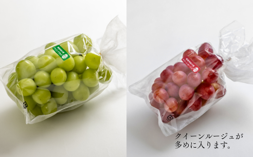 TK36-26A 【先行予約】【家庭用】 ぶどう2種セット （シャインマスカット／クイーンルージュ®） 約2kg ／ 2026年9月下旬～10月頃 配送予定 // 長野県 南信州 種なし 皮ごと 食べ比べ 詰め合わせ   お試し 訳あり お取り寄せ シャイン マスカット ルージュ クイーン 新鮮 希少