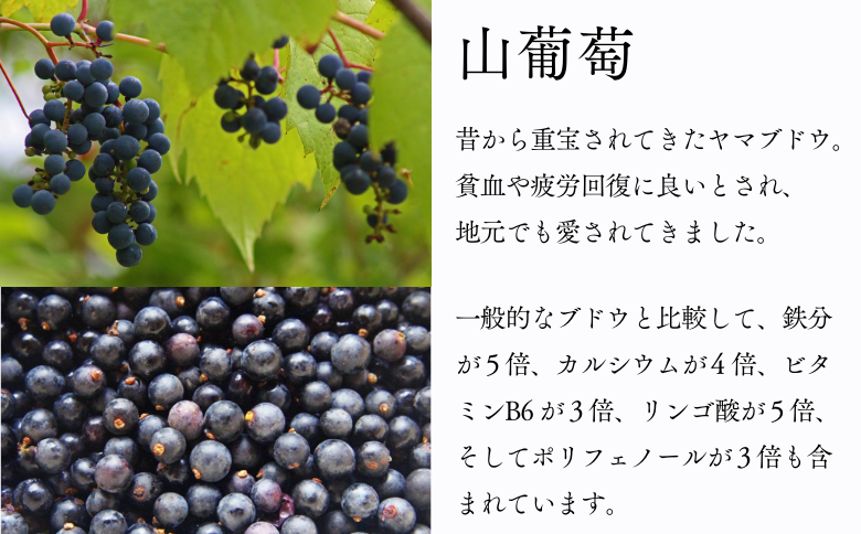 MW12-25F 山葡萄ワイン2種セット（500ml×2本）// 長野県 南信州 山ぶどう 山葡萄 贈答 ギフト 稀少 甘口ワイン 辛口ワイン