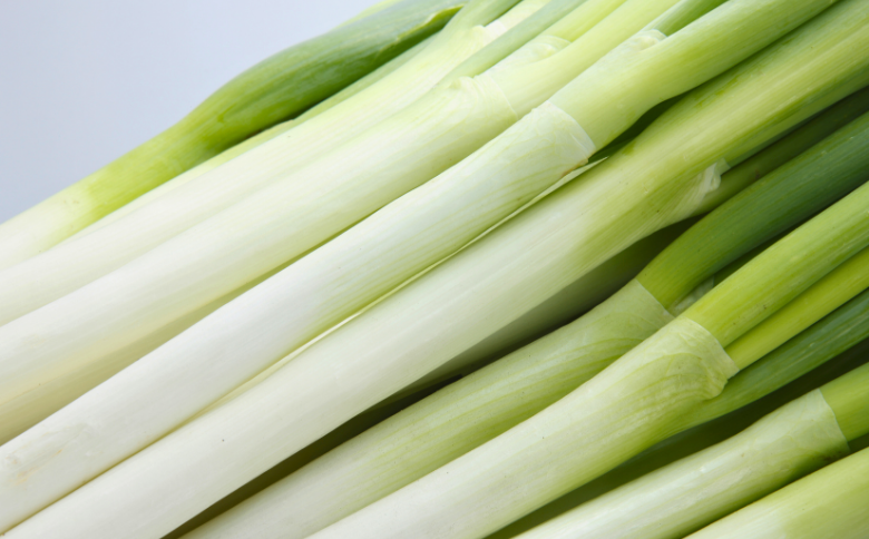 JA24-25B 土付きねぎ 約3kg / 2025年12月中旬〜2026年2月上旬頃配送予定｜長野県 南信州産 野菜 信州野菜 新鮮 長ネギ ネギ 長ねぎ 白ねぎ 白ネギ