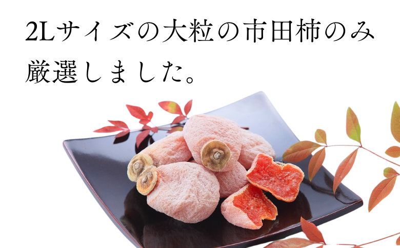 JA38-25A 市田柿 大粒2Lサイズ 170g×4袋／2026年1月中旬～2月上旬ごろ配送 ｜長野県 南信州 干し柿 市田柿 大粒 2Lサイズ 贈答 高糖度 高品質