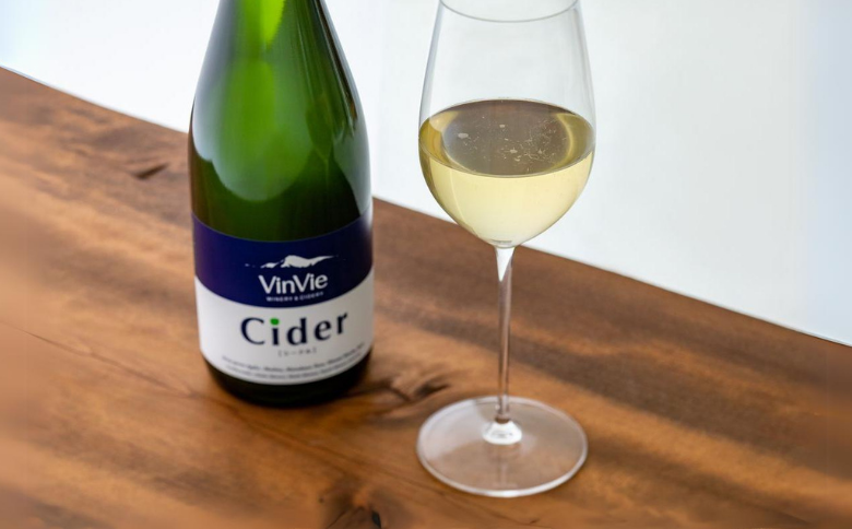 VI01-25F VinVieシードル（750ml）｜ 長野県 南信州 シードル りんごのお酒 贈答 ギフト