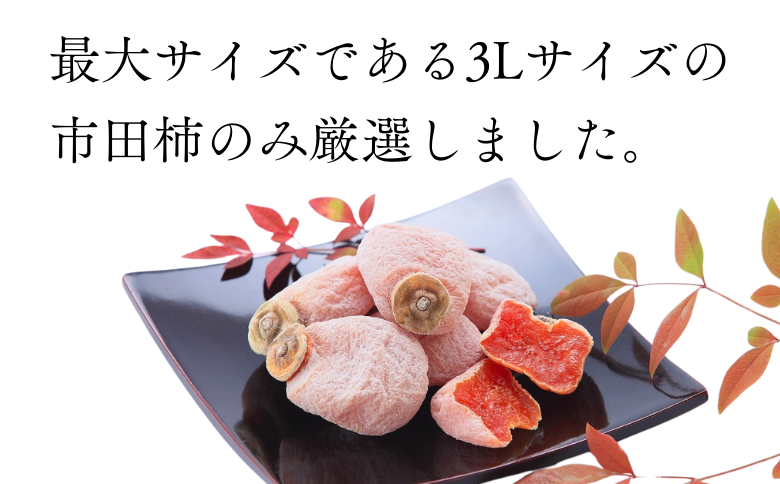JA40-25A 干柿 市田柿 化粧箱 大粒厳選8粒（最高サイズ 3L） ／2026年1月中旬頃～配送 ｜長野県 南信州 大粒 特大 厳選 3Lサイズ 高糖度 高品質 ドライフルーツ
