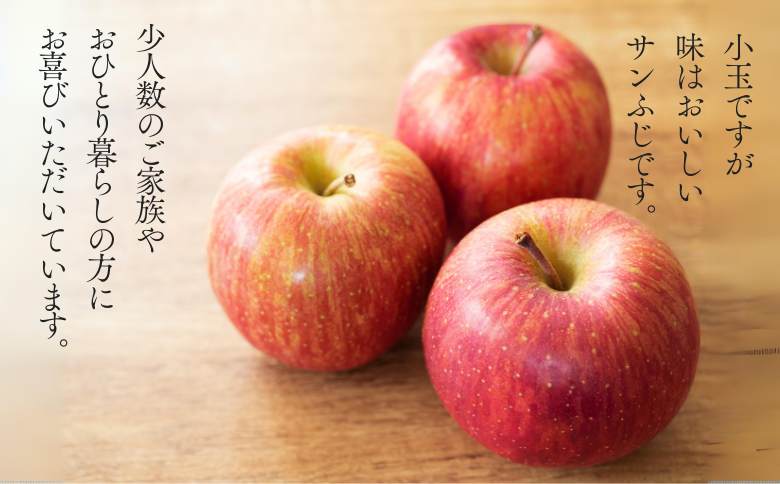 KR16-25A  【年内配送】りんご サンふじ（小玉）贈答 約5kg / 11月下旬頃～配送予定 ｜ 南信州産 長野県 りんご サンふじ 約5kg