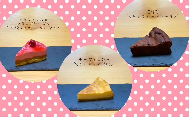 EN02-25D ケーキ詰め合わせ11個（ガトーショコラ／チーズケーキ／フランボワーズショコラ）｜長野県 信州 カットケーキ アソート 福祉 障碍者支援
