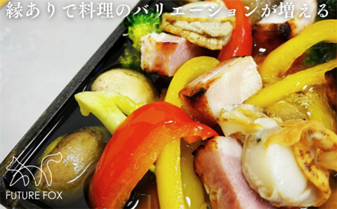 FF01 FUTURE FOX 使い込むほど味が出る鉄板 17cm×17cm // キャンプ アウトドア キャンプ飯 男飯 鉄板焼き 安定 無骨 おしゃれ 丈夫 頑丈 ソロキャン キャンプ用品 アウトドアグッズ フューチャーフォックス