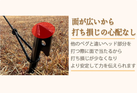 FUTURE FOX キツツキペグ 10本セット［FF41］ // キャンプ BBQ アウトドア フューチャーフォックス