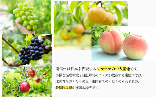 JA05-26A【先行予約】梨 幸水 約5kg／2026年8月中旬～9月上旬頃 配送予定 // 贈答 センサー選別 糖度センサー 梨 なし ナシ 果物 フルーツ ギフト 幸水 太鼓判 優糖生