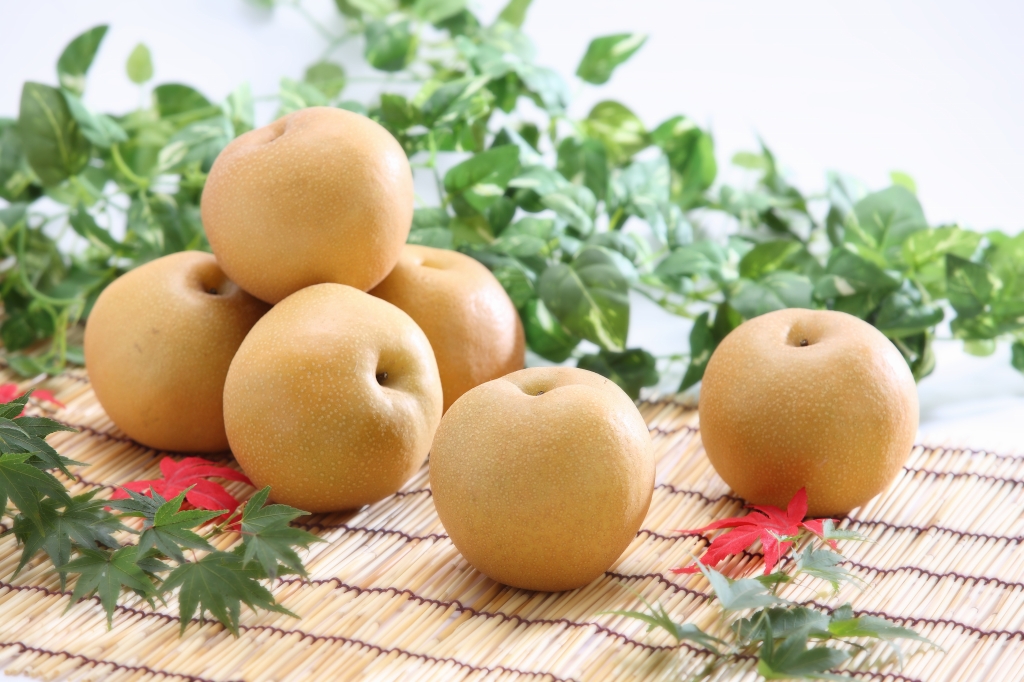 JA06-26A【先行予約】梨 豊水 約5kg / 2026年9月上旬～下旬頃 配送予定 // 贈答 センサー選別 糖度センサー 梨 なし ナシ 果物 フルーツ ギフト 豊水 太鼓判 優糖生