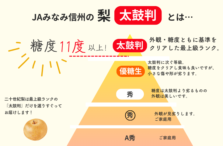 JA07-26A【先行予約】梨 二十世紀 約5kg / 2026年9月上旬～9月下旬頃 配送予定 // 贈答 センサー選別 糖度センサー 梨 なし ナシ 果物 フルーツ ギフト 二十世紀 二十世紀梨 太鼓判