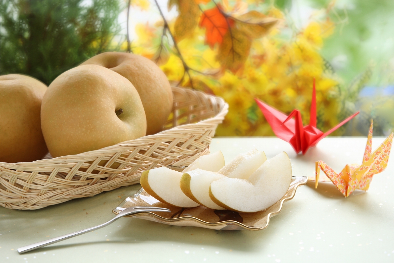 JA29-26A 【先行予約】 梨 南水 約2kg / 2026年9月中旬～10月中旬頃 配送予定 // 贈答 センサー選別 糖度センサー 梨 なし ナシ 果物 フルーツ ギフト 南水 太鼓判 優糖生