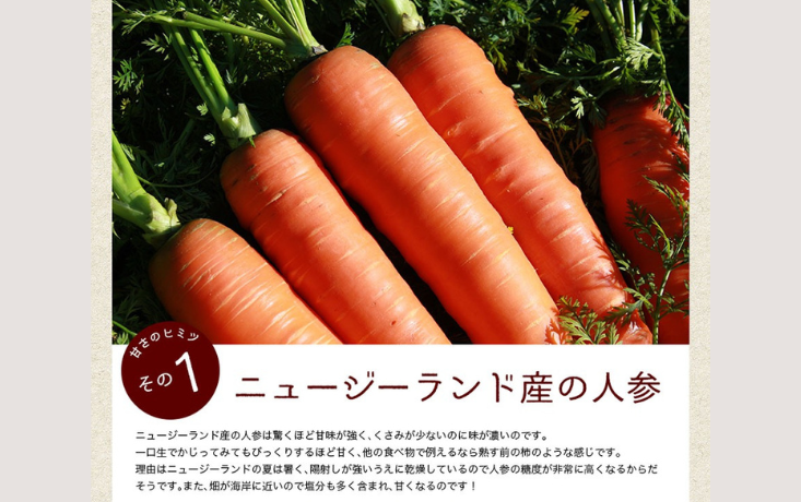 MK09-25E 【砂糖不使用】 順造選 元気モリモリ にんじんジュース（人参汁100％）500ml × 12本 // 野菜ジュース 100％ジュース ストレート 人参 砂糖不使用 無加糖 無香料 無着色 健康 美容 栄養補給 MK08 MK09 MK10 500ml×12本