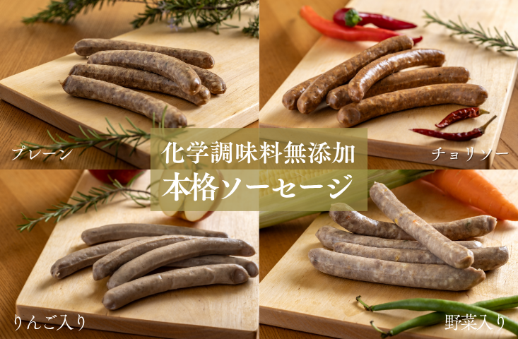 SF03-25C 無添加！さんさん豚ソーセージセットB （140g×4種類入）【化学調味料不使用】｜ 長野県産豚肉 南信州 ポーク バークシャー種 安全 安心 冷凍 贈答 ギフト