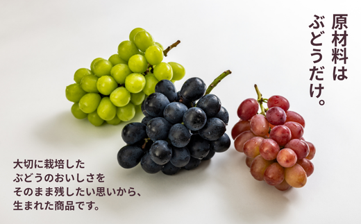 TK25-25A  ぶどう 冷凍スペシャルパウチ リアル100％ Lサイズ（95g） 5個 // 長野県 南信州 冷凍フルーツ 冷凍パウチ パウチ シャーベット スムージー 無添加 無加糖 無加水 葡萄 シャインマスカット ナガノパープル クインルージュ