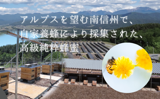 TK29-25A ジュエリーボックス 新世代ぶどうのスプレッドとアカシア蜂蜜の詰め合わせ 12個入 // 長野県 松川町産 南信州 ぶどう シャインマスカット ナガノパープル クイーンルージュ® 寒天 はちみつ ハチミツ 高級蜂蜜 ギフト 詰合せ 無添加 無加糖