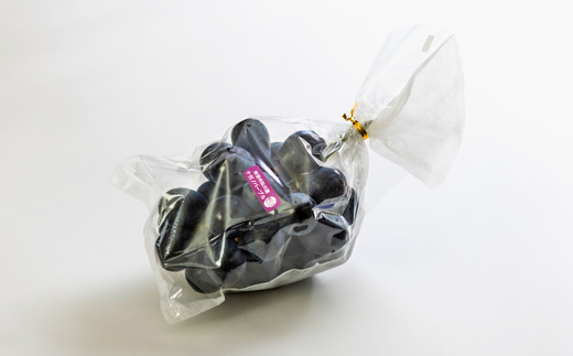 TK34-26A 【先行予約】ぶどう ナガノパープル 約1kg ／2026年9月上旬～中旬頃 配送予定 // 贈答 長野県 南信州 ぶどう 葡萄 ナガノ パープル 種なし 皮ごと 果物 フルーツ