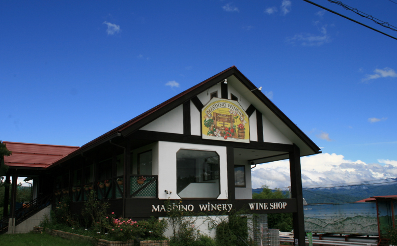 MW12-25F 山葡萄ワイン2種セット（500ml×2本）// 長野県 南信州 山ぶどう 山葡萄 贈答 ギフト 稀少 甘口ワイン 辛口ワイン