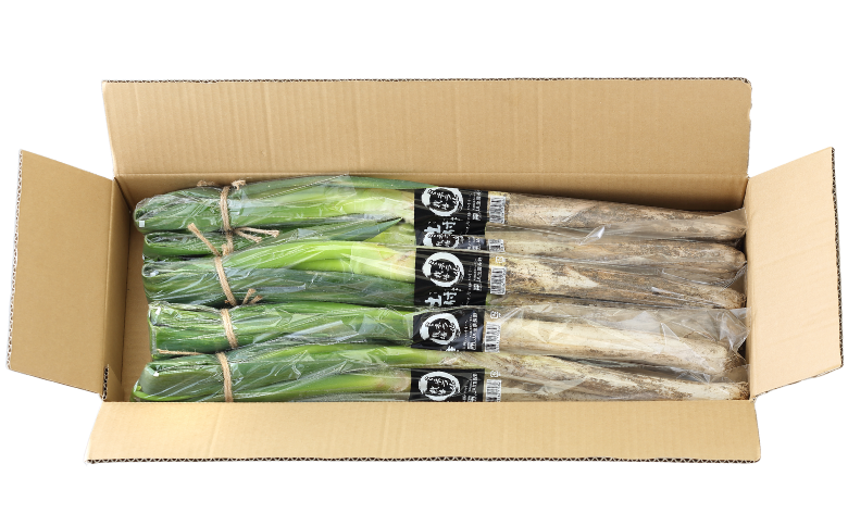 JA24-25B 土付きねぎ 約3kg / 2025年12月中旬〜2026年2月上旬頃配送予定｜長野県 南信州産 野菜 信州野菜 新鮮 長ネギ ネギ 長ねぎ 白ねぎ 白ネギ