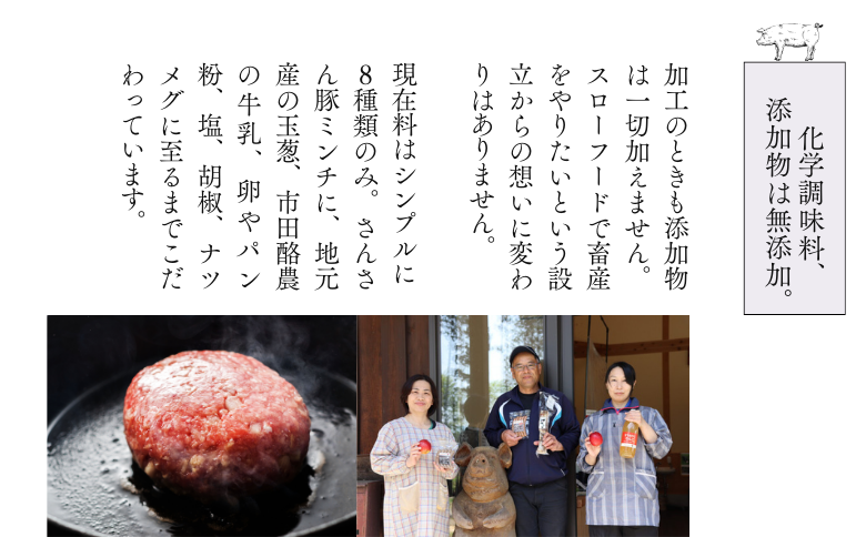 SF04-25C 無添加！さんさん豚ハンバーグセット(110g×6ヶ入)【化学調味料不使用】｜長野県産豚肉 南信州 ポーク バークシャー種 安全 安心 冷凍 贈答 ギフト