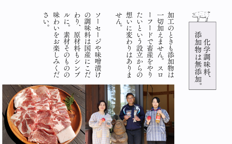 SF06-25C さんさん豚3回お届けコース（翌月より3ヶ月）｜長野県産豚肉 南信州 ポーク ステーキ バークシャー種 薄切り 味噌漬け 安全 安心 定期便 毎月届く 贈答 ギフト