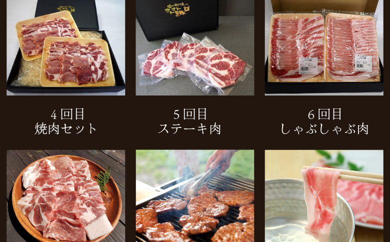SF07-25C さんさん豚6回お届けコース（翌月より6ヶ月）｜長野県産豚肉 南信州 ポーク ステーキ バークシャー種 薄切り 味噌漬け 安全 安心 定期便 毎月届く 贈答 ギフト