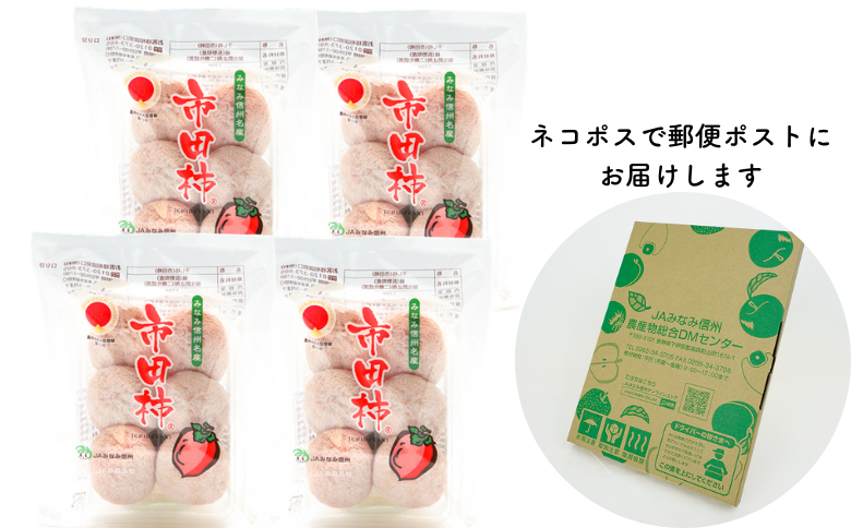 JA38-25A 市田柿 大粒2Lサイズ 170g×4袋／2026年1月中旬～2月上旬ごろ配送 ｜長野県 南信州 干し柿 市田柿 大粒 2Lサイズ 贈答 高糖度 高品質