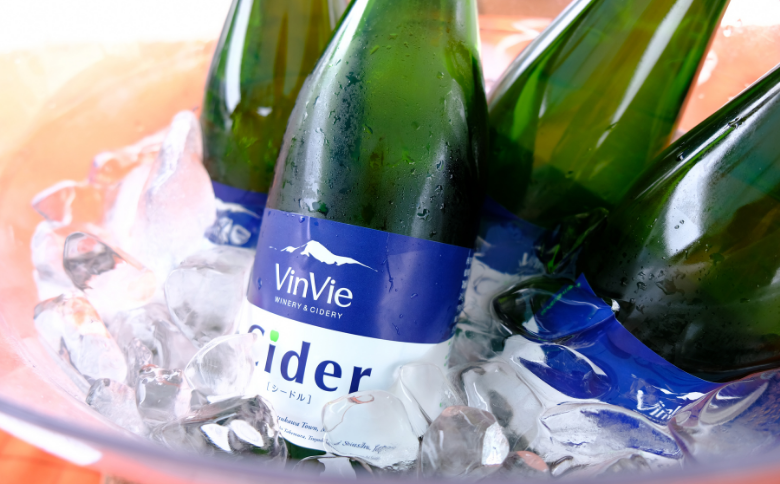 VI01-25F VinVieシードル（750ml）｜ 長野県 南信州 シードル りんごのお酒 贈答 ギフト