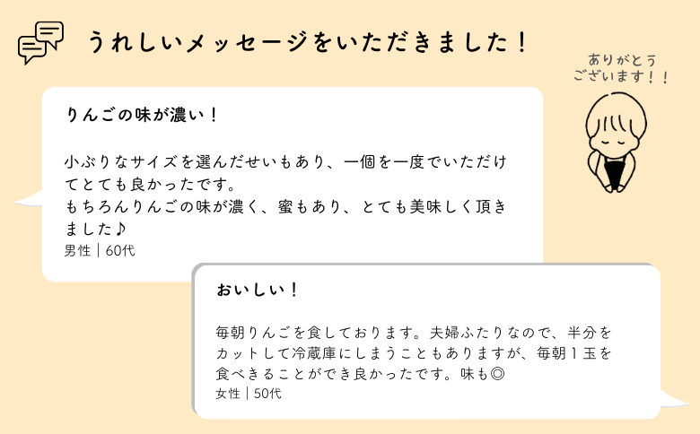 KR16-25A  【年内配送】りんご サンふじ（小玉）贈答 約5kg / 11月下旬頃～配送予定 ｜ 南信州産 長野県 りんご サンふじ 約5kg