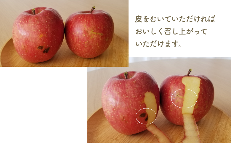 KR20-25A 【年内配送】りんご サンふじ  家庭用（大玉）約5kg / 11月下旬頃～配送予定 ｜ 南信州産 長野県 りんご サンふじ 約5kg