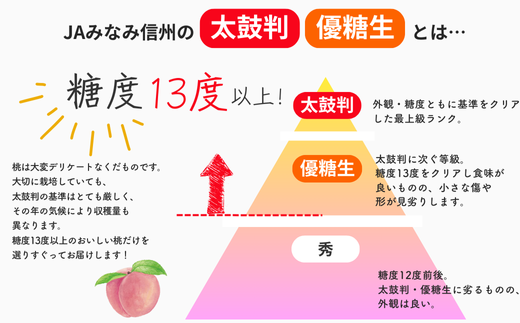 JA02-26A【先行予約】桃 あかつき 約3kg／2026年7月下旬～8月上旬頃 配送予定 // 贈答 センサ ー選別 糖度センサー 桃 もも 果物 フルーツ ギフト あかつき 太鼓判 優糖生