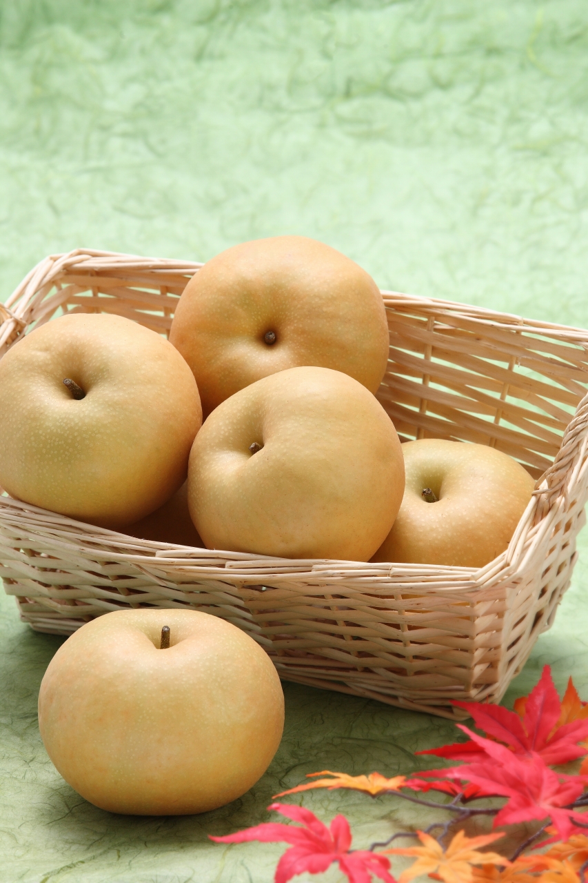 JA09-26A 【先行予約】 梨 南水 約5kg / 2026年9月中旬〜10月中旬頃 配送予定 // 贈答 センサー選別 糖度センサー 梨 なし ナシ 果物 フルーツ ギフト 南水 太鼓判 優糖生