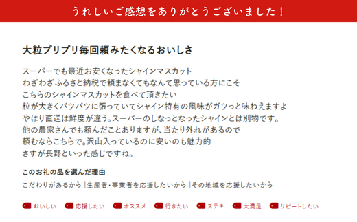JA11-26A 【先行予約】ぶどう シャインマスカット 約2kg / 2026年9月中旬～10月中旬頃 配送 // 長野県 南信州 シャイン マスカット 種無し 大粒 甘い 葡萄 人気 新鮮 厳選 贈答