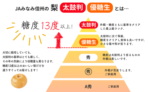 JA28-26A 【先行予約】 梨 幸水 約2kg／2026年8月中旬～9月上旬頃 配送予定 // 贈答 センサー選別 糖度センサー 梨 なし ナシ 果物 フルーツ ギフト 幸水 太鼓判 優糖生
